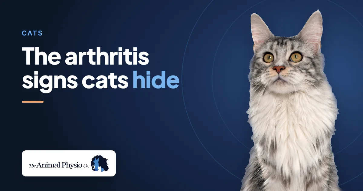 Two cats beside the words "The arthritis signs cats hide"
