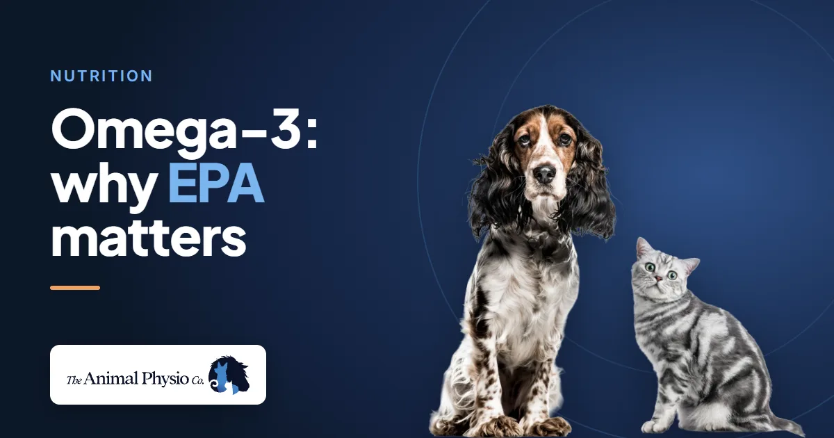 A dog and a cat beside the words "Omega-3: why EPA matters"